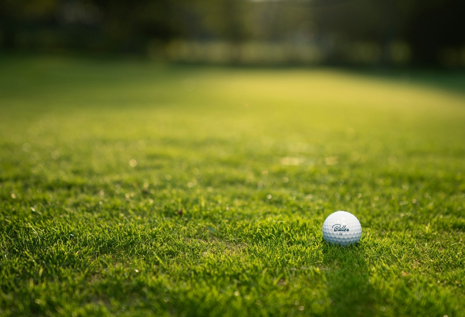Sports Golf Club: 5 Lessons